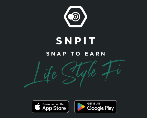 SNPIT image 3